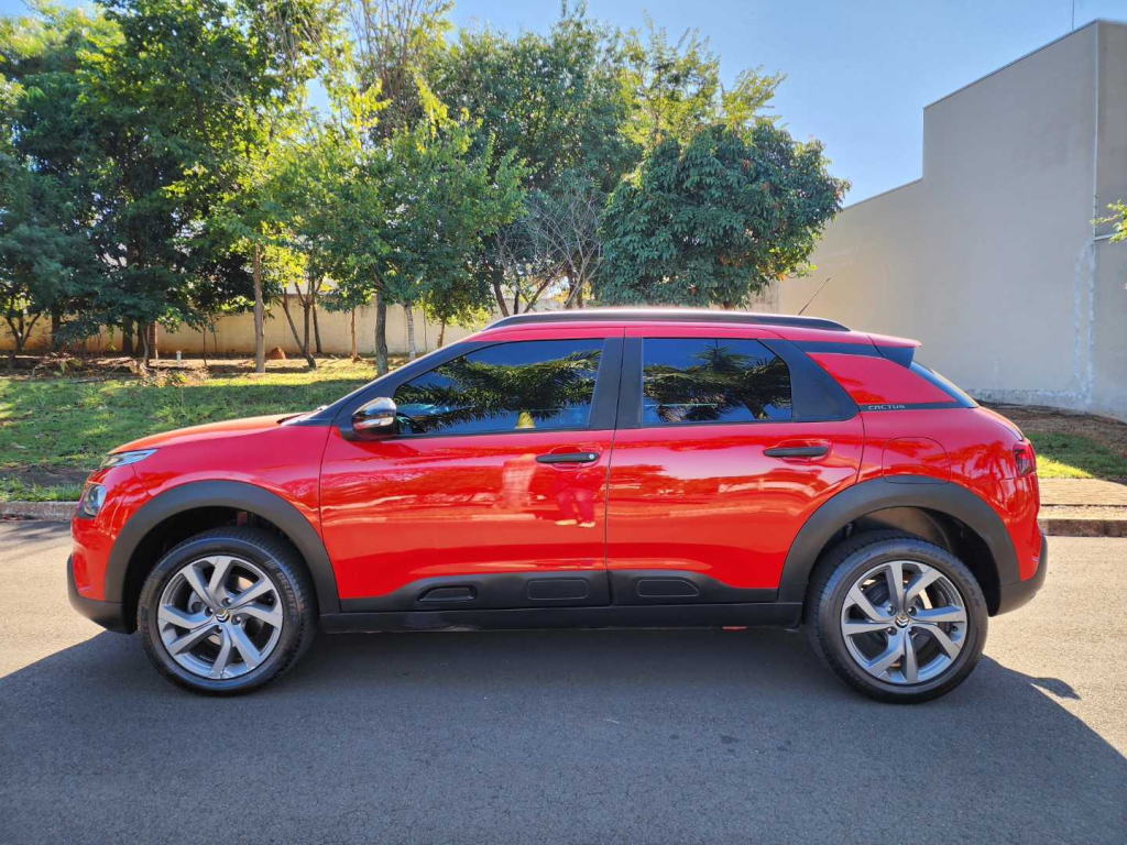 C4 Cactus - Foto
