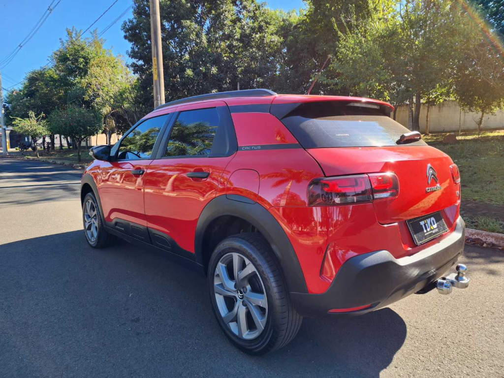 C4 Cactus - Foto