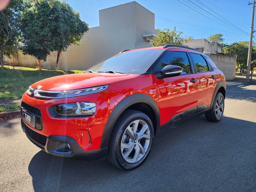 C4 Cactus - Foto