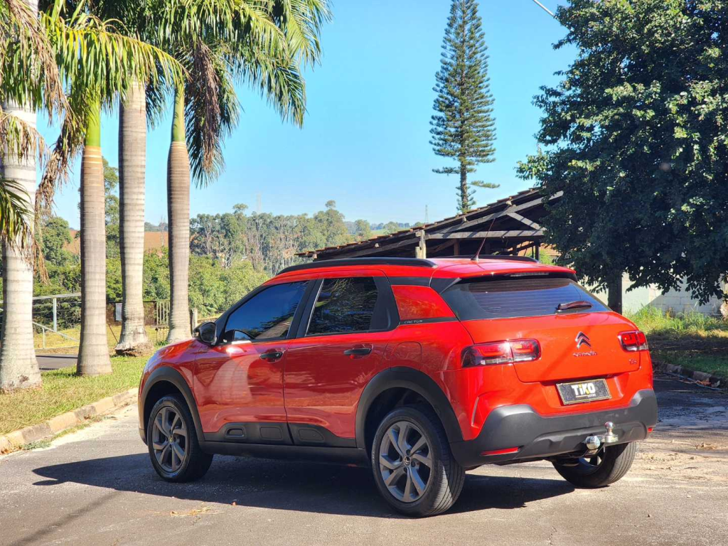 C4 Cactus - Foto