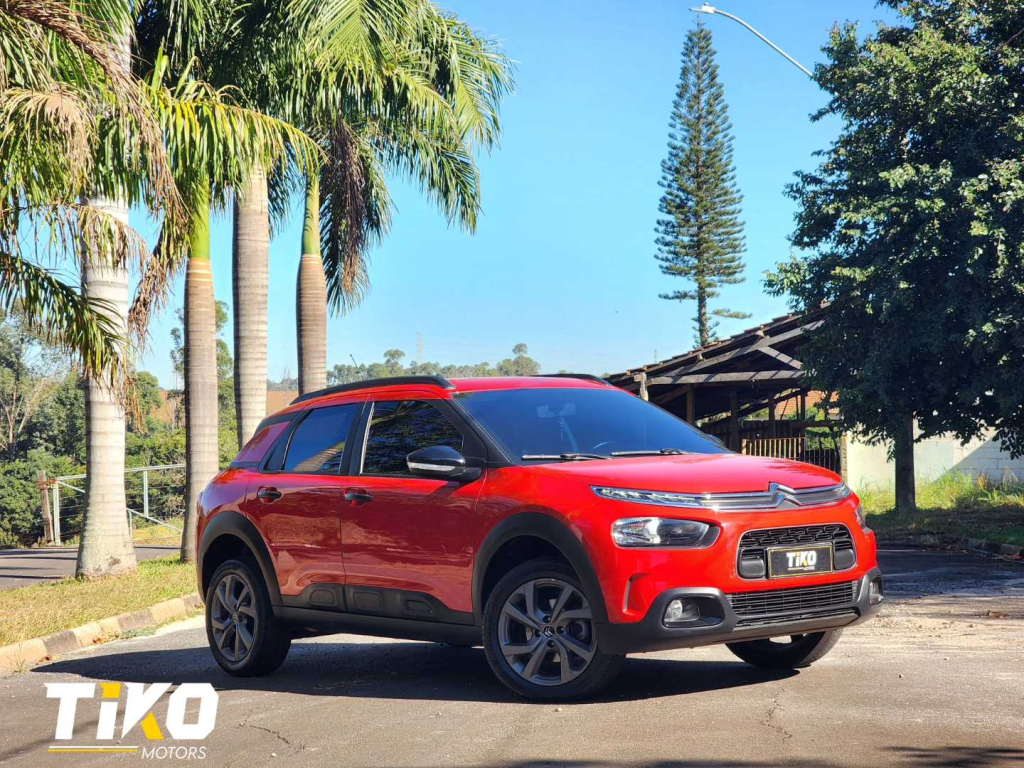 C4 Cactus - Foto