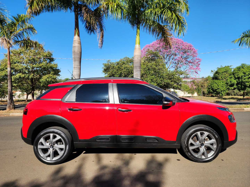C4 Cactus - Foto