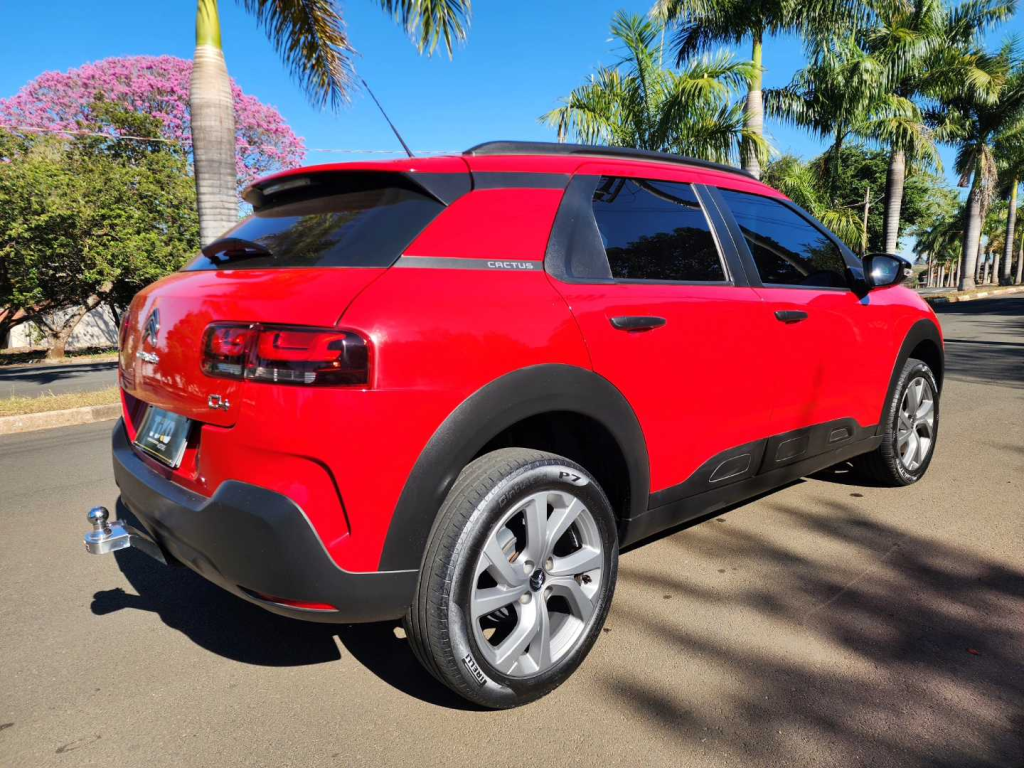C4 Cactus - Foto
